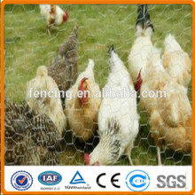 PVC coated Galvanized Hexagonal Wire Mesh for poultry Cage